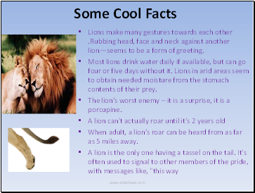 Some Cool Facts