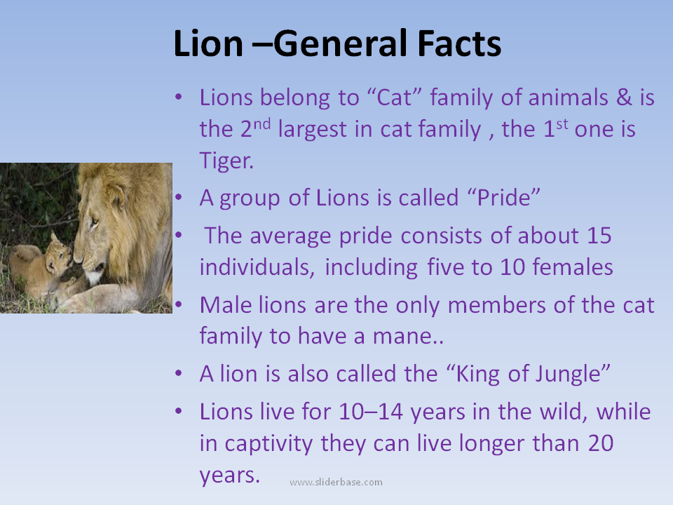 Facts about animals