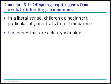 Concept 13.1: Offspring acquire genes from parents by inheriting chromosomes