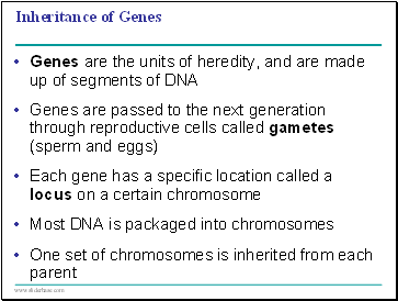 Inheritance of Genes