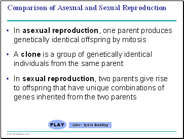 Comparison of Asexual and Sexual Reproduction