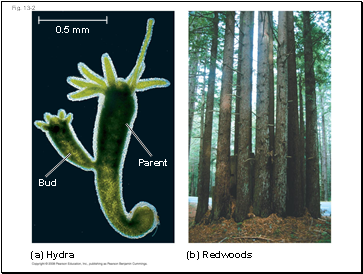 Fig. 13-2