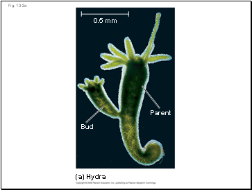 Fig. 13-2a