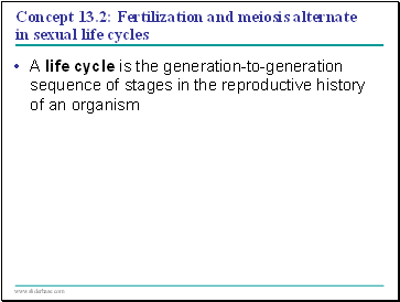 Concept 13.2: Fertilization and meiosis alternate in sexual life cycles