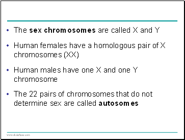 The sex chromosomes are called X and Y