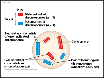 Fig. 13-4