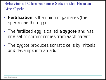 Fertilization is the union of gametes (the sperm and the egg)