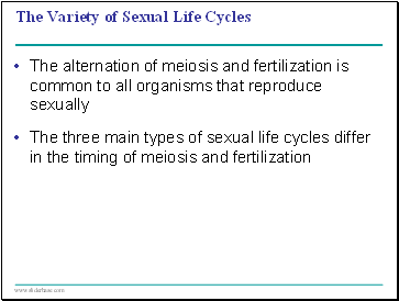 The Variety of Sexual Life Cycles