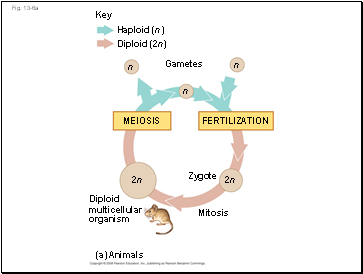 Fig. 13-6a