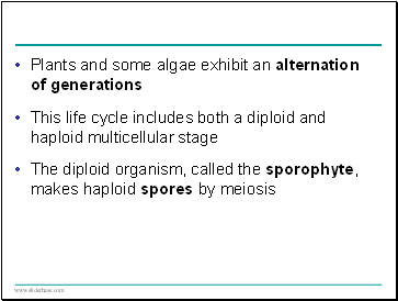 Plants and some algae exhibit an alternation of generations