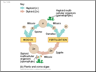 Fig. 13-6b