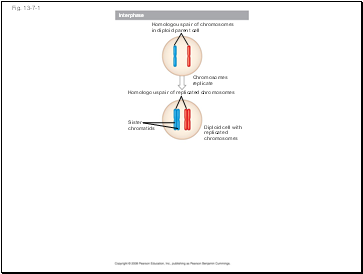 Fig. 13-7-1