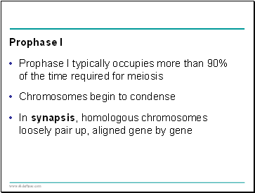 Prophase I