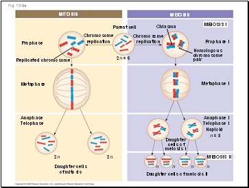 Fig. 13-9a