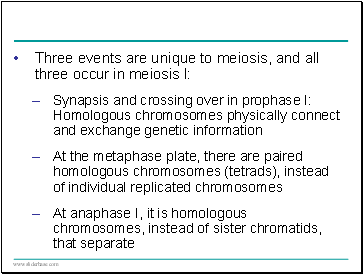 Three events are unique to meiosis, and all three occur in meiosis l: