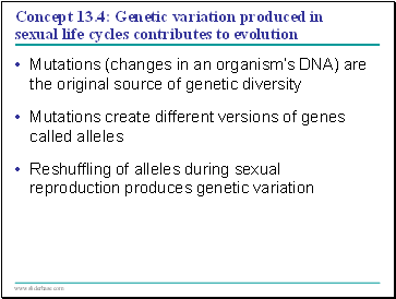 Concept 13.4: Genetic variation produced in sexual life cycles contributes to evolution