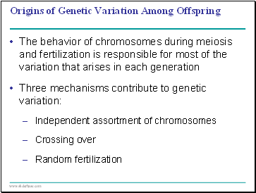 Origins of Genetic Variation Among Offspring