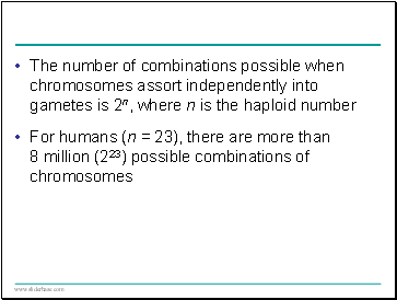 The number of combinations possible when chromosomes assort independently into gametes is 2n, where n is the haploid number