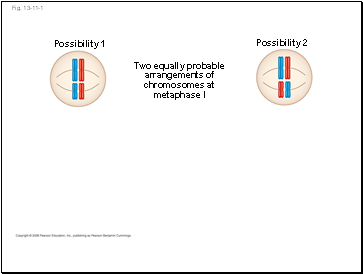 Fig. 13-11-1