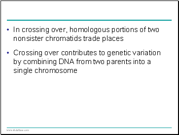 In crossing over, homologous portions of two nonsister chromatids trade places