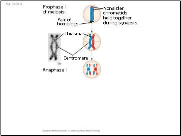 Fig. 13-12-3