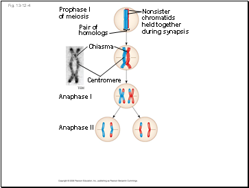 Fig. 13-12-4