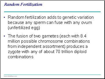 Random Fertilization