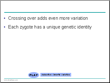 Crossing over adds even more variation