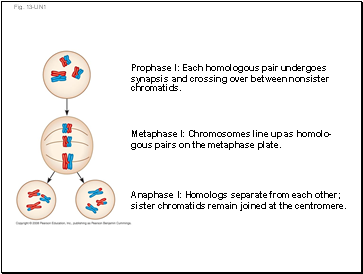 Fig. 13-UN1