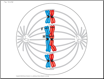 Fig. 13-UN2