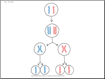 Fig. 13-UN3