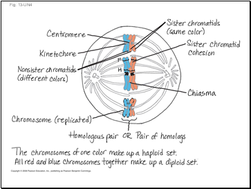 Fig. 13-UN4