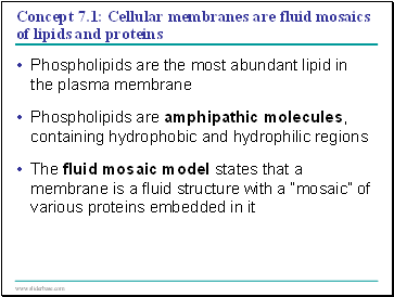 Concept 7.1: Cellular membranes are fluid mosaics of lipids and proteins