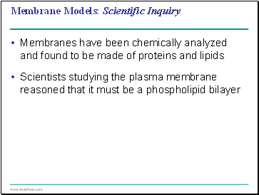 Membrane Models: Scientific Inquiry