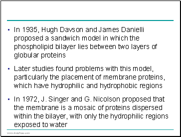 In 1935, Hugh Davson and James Danielli proposed a sandwich model in which the phospholipid bilayer lies between two layers of globular proteins