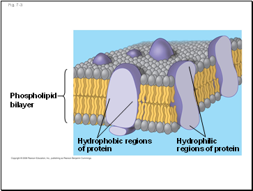 Fig. 7-3