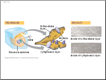 Fig. 7-4