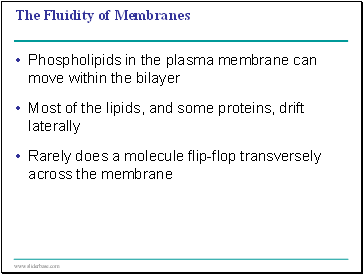 The Fluidity of Membranes
