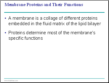 Membrane Proteins and Their Functions