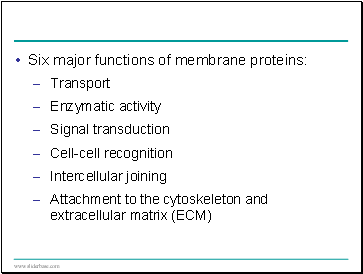 Six major functions of membrane proteins: