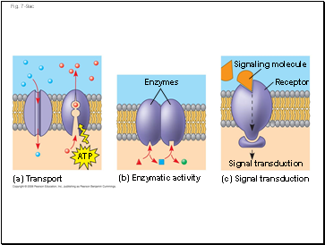 Fig. 7-9ac