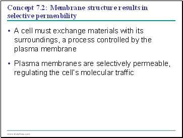 Concept 7.2: Membrane structure results in selective permeability