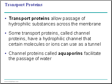 Transport Proteins