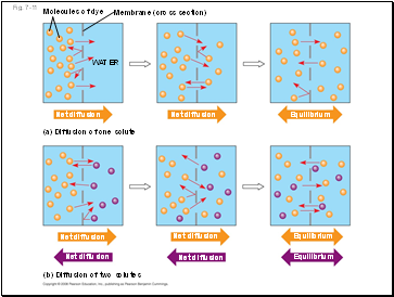 Fig. 7-11