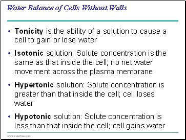 Water Balance of Cells Without Walls