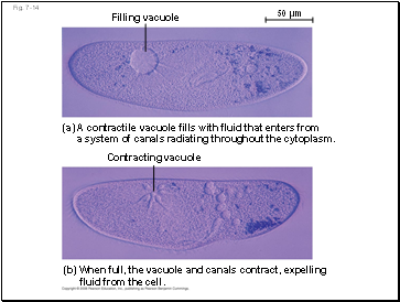 Fig. 7-14