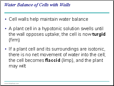 Water Balance of Cells with Walls