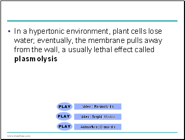 Video: Plasmolysis