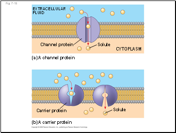 Fig. 7-15