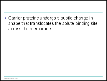 Carrier proteins undergo a subtle change in shape that translocates the solute-binding site across the membrane